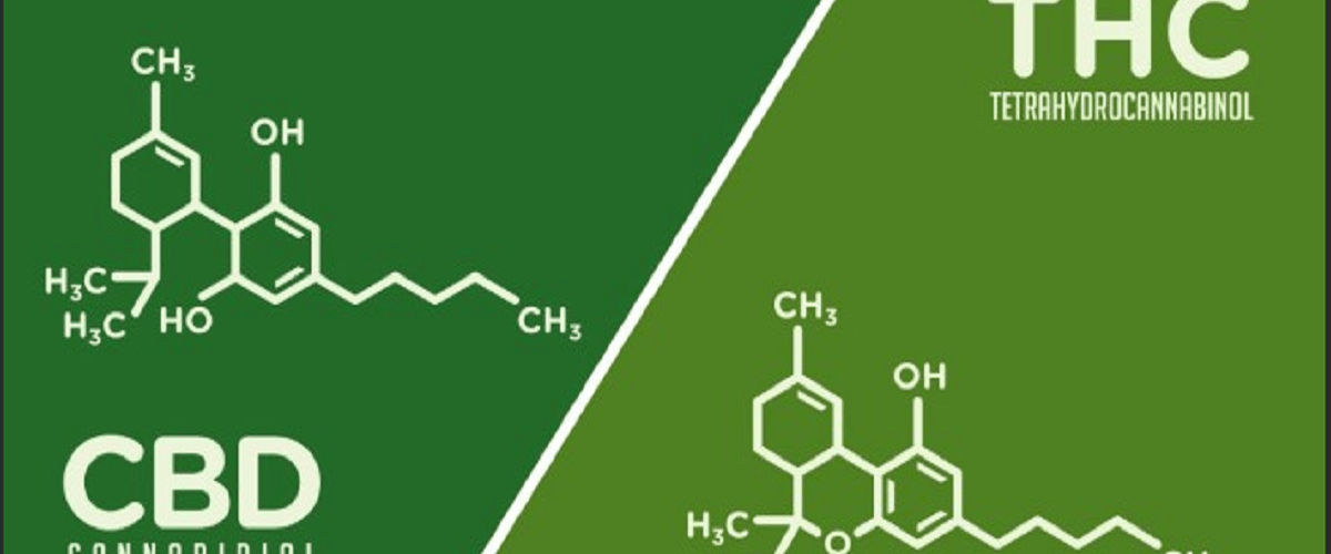 Difference Between CBD & THC