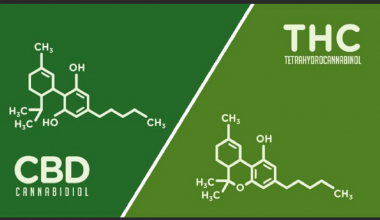 THE DIFFERENCES BETWEEN THC & CBD HEMP OIL