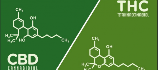 Difference Between CBD & THC