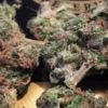Buy 7-Way Marijuana Strain