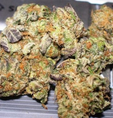 Dawg Cookies Marijuana