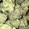 Buy Gelato Marijuana Strain Online