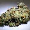 Buy Alien Cookies Cannabis Strain