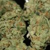 Buy OG Kush Marijuana Online