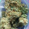 Buy Strawberry Cough Cannabis Strain