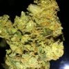Buy Blueberry Muffin Cannabis Online